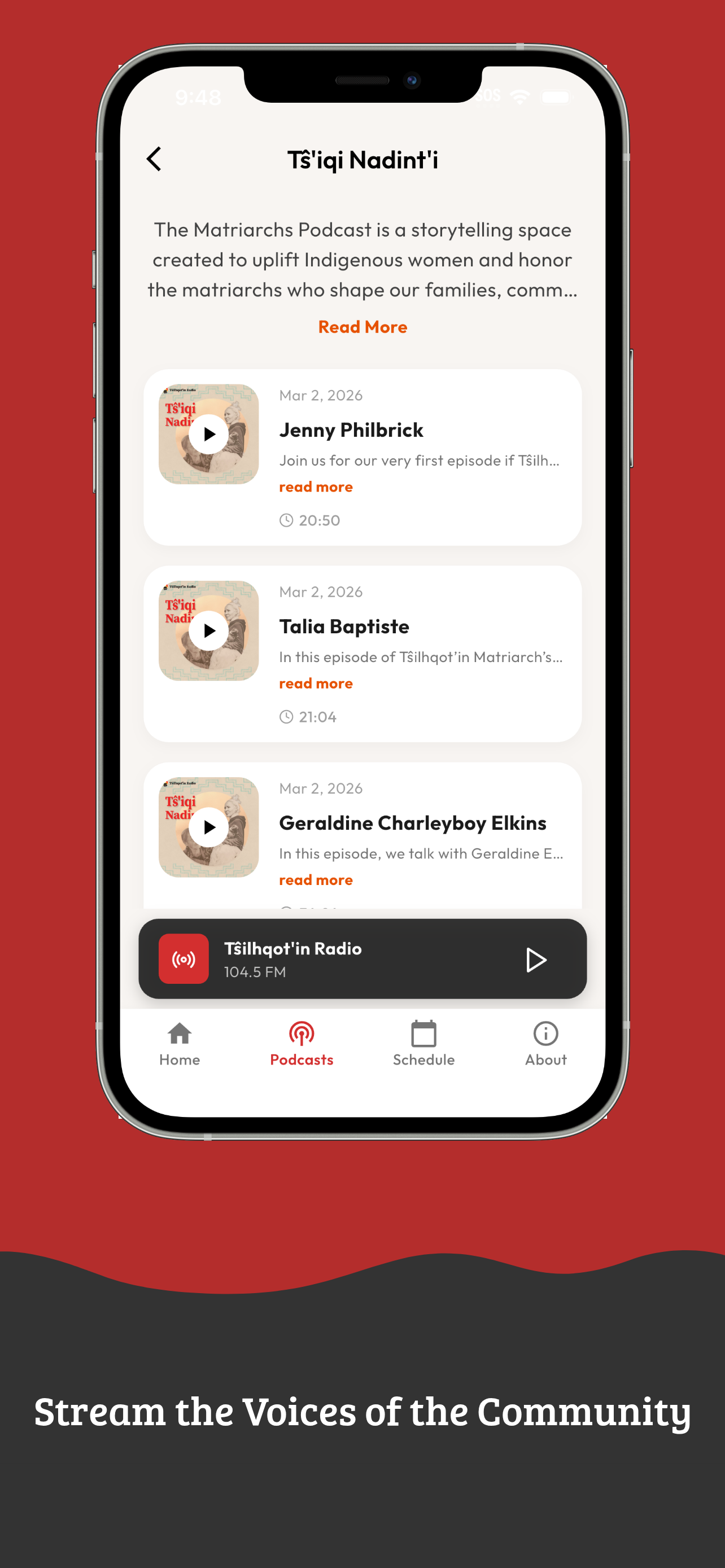 Podcast Episode Detail